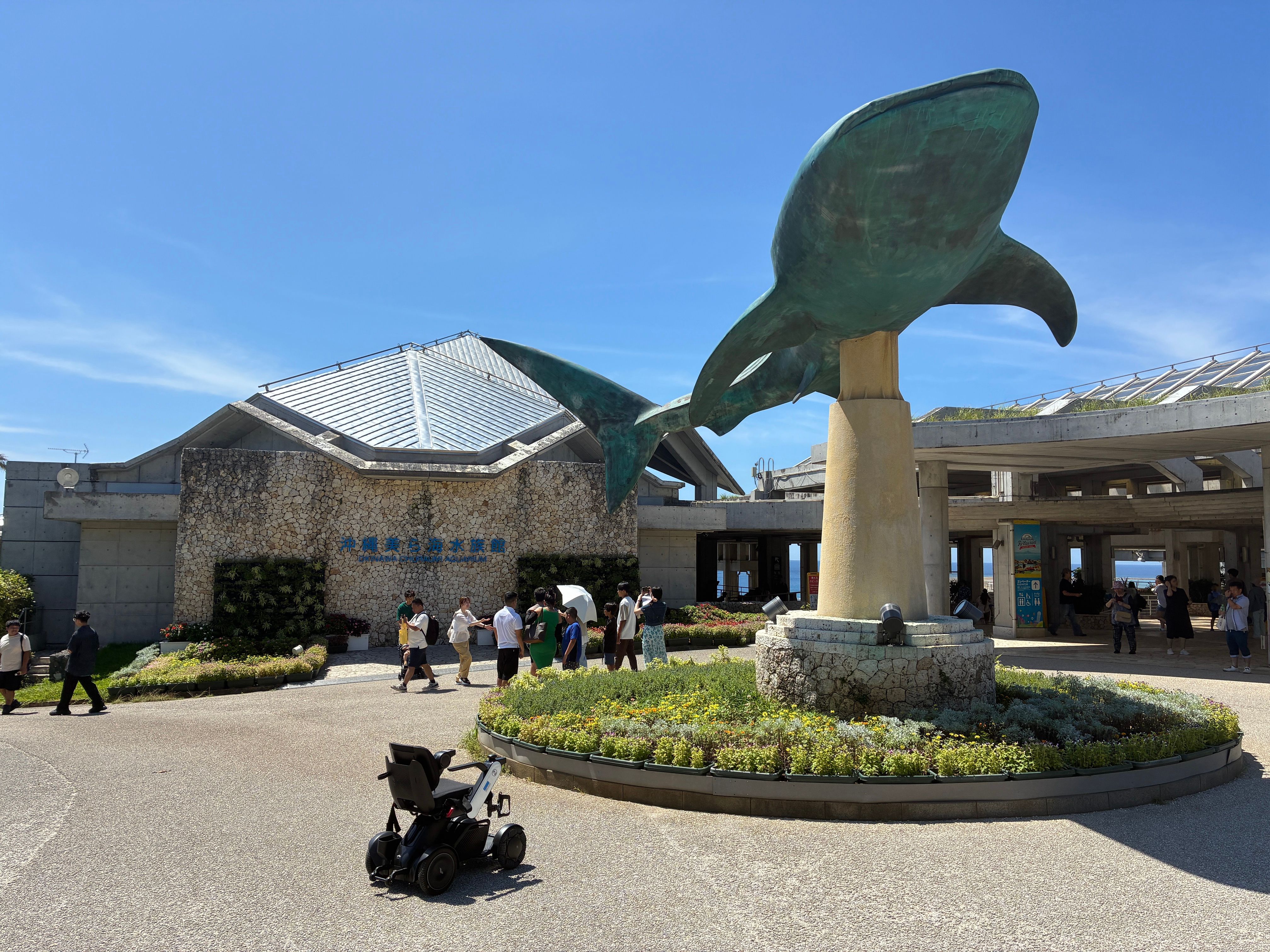 ウィル導入事例｜沖縄美ら海水族館｜施設内移動-WHILLモビリティサービス